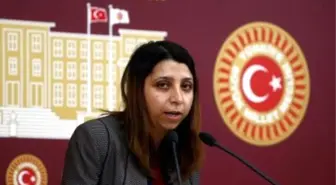 Hdp Şırnak Milletvekili İrmez Açıklaması