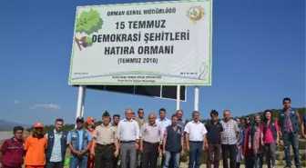 Tosya'da '15 Temmuz Demokrasi Şehitleri Hatıra Ormanı' Kuruldu