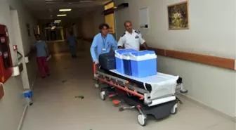 Bursa'da Organ Bağışı