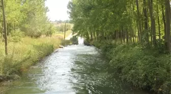 Serinlemek İçin Kanala Giren Çocuk Boğuldu