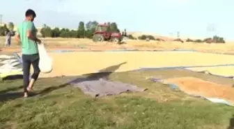 Bulanık İlçesinde Kış Hazırlığı