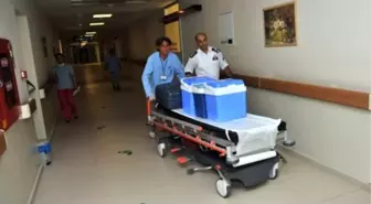 Bursa'da Organ Bağışı