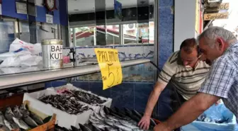 Sezon Öncesinde Palamut Avı Umut Veriyor