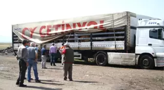 Kars'tan 80 ile Kurban Sevkiyatı