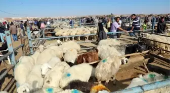 Aksaray'da Kurban Kesim Yerleri Belli Oldu