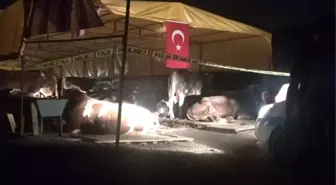 Kurban Pazarında Silahlı Kavga: 3 Ölü, 3 Yaralı