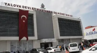 Yazar Vedat Türkali, Yalova'da Yaşamını Yitirdi (2)