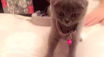 Instagram Depresyonu Ortaya Çıkarabilir Mi?