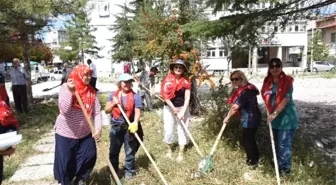 Esküder'den Ağaç Bakımı