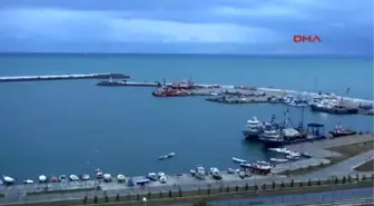 Samsun İlk Gün, Gırgırlar Kıyıda Kaldı, Troller İstavrit ve Mezgit ile Döndü