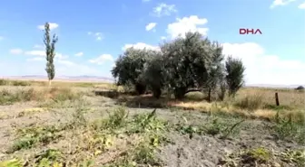 4'üncü Ana Jet Üssü Yakınlarında İçi Dolar Dolu Çanta Bulundu