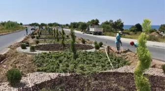 Alanya Belediyesi Peyzaj Çalışmalarına Devam Ediyor