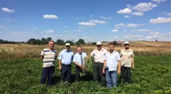 Ferhadanlı ve Kaşıkçı Mahallelerinde Çiftçi Toplantıları Düzenlendi