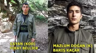 Batman'da Öldürülen Teröristin 'Gri' Listede Olduğu Ortaya Çıktı