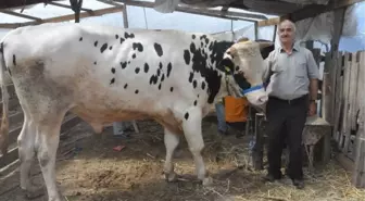 Kurban Pazarının En Büyüğü Haydar