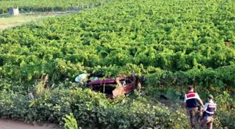 Manisa'da Otomobil Üzüm Bağına Uçtu: 1 Ölü, 1 Yaralı