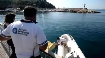 Antalya Yat Limanı'nda Acılı Bekleyiş Devam Ediyor