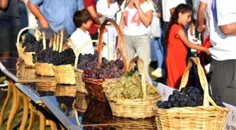 2. Trakya Bağbozumu En Güzel Üzüm Yarışması düzenlendi