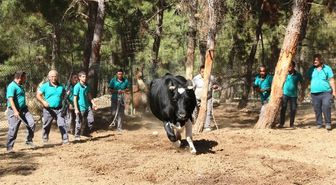 Gaziantep'te 'Kurban Yakalama Timi' Oluşturuldu