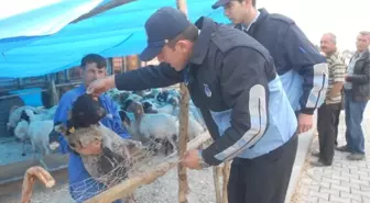 Karaman'da Kurban Satış ve Kesim Yerleri Açıklandı