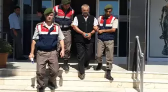 Bafra'da Hayvan Hırsızlığı Zanlısı Tutuklandı