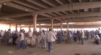 Kurbanlık Tercihi Bölgelere Göre Değişiyor'