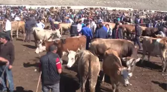 Kurbanlıklara Sevk Öncesi Sıkı Denetim