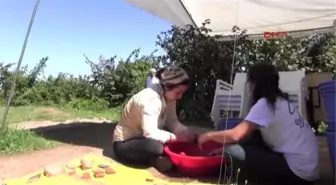 Ordu?da Arkeolojik Kazıda 2 Bin 100 Yıllık Ana Tanrıça Kibele Heykeli Bulundu