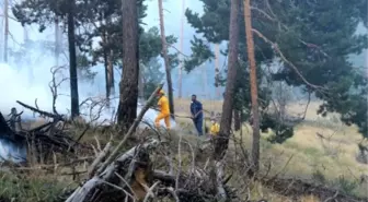 Yozgat'taki Orman Yangını Söndürüldü