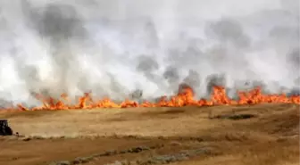 Beypazarı'nda Yangın