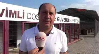 Bilecik2- Sokak Hayvanları İçin Belediye Önünde Açlık Grevi Yapıyorlar