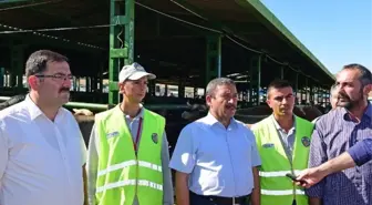 Canlı Hayvan Pazarı'nda İlaçlama Çalışmaları Devam Ediyor