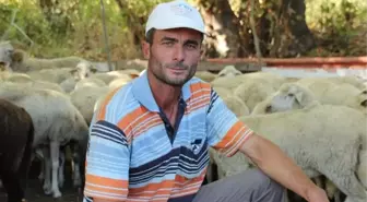 Hayvan Üreticileri: 'Kurban Bayramı'nda Küçükbaş Hayvan Tercih Edilmeli'