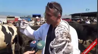 Kurban Yatırmanın Püf Noktaları