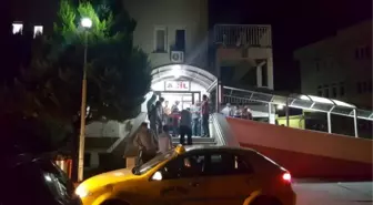 Zonguldak'ta Eşek Arısının Soktuğu Kişi Hayatını Kaybetti