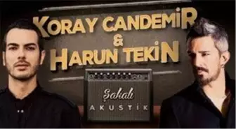 Harun Tekin & Koray Candemir Şakalı Akustik