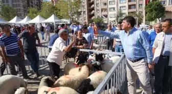 Fadıloğlu Kurban Kesim Yerlerini Gezdi
