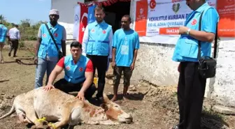 Milli Güreşçi Rıza Kayaalp, Zanzibar'da Kurban Eti Dağıttı