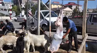 Vatandaşlar Bayramın İlk Gününde Kurban Pazarına Koştu