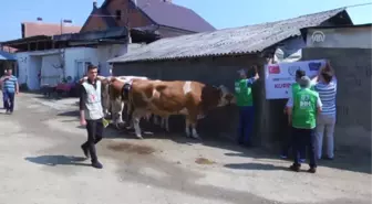 İhh, Kosova ve Makedonya'da Kurban Eti Dağıttı