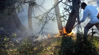 Karabük'te Orman Yangını