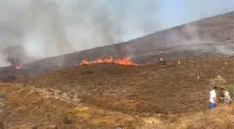 Paşalimanı Adası'nda Korkutan Yangın