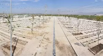 İzmir'in İlk Hayvan Mezarlığı Hazır