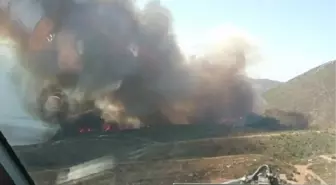 Karaburun'da Piknikçi Ateşi Ormanı Yaktı