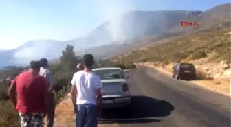 Karaburun'da Piknikçi Ateşi Ormanı Yaktı