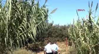 Adana - Polisten Kaçan Şüpheliler Narenciye Bahçesinde Arandı