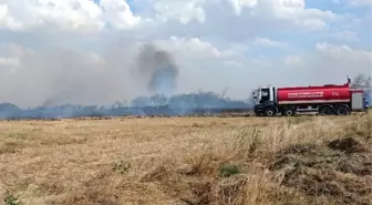 Bandırma'da Arazi Yangını Korkuttu