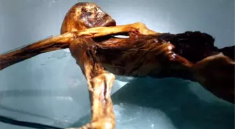 Ötzi'nin Keşfinin 25. Yılı: Buz Adamın Sırrı