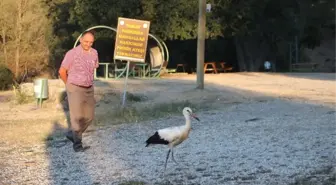 Beyşehir'deki Tabiat Parkı'na Ahşap Bungalov Evler Yapılacak