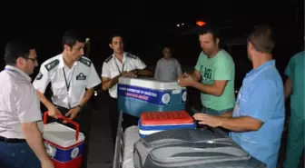 Bursa'da Organ Nakli